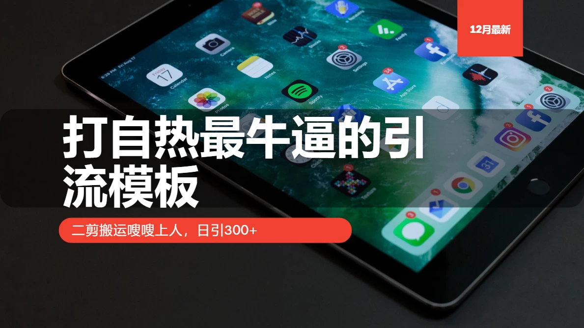 打自热最牛逼的引流模板，二剪搬运嗖嗖上人，日引300+-大米资源网