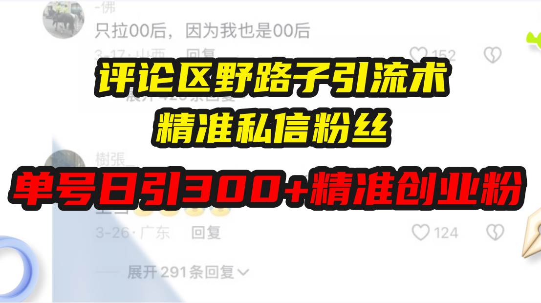 （13676期）评论区野路子引流术，精准私信粉丝，单号日引流300+精准创业粉-大米资源网