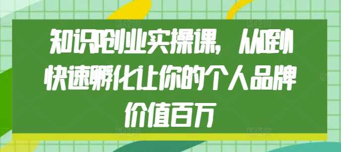 知识IP创业实操课，从0到1快速孵化让你的个人品牌价值百万-大米资源网