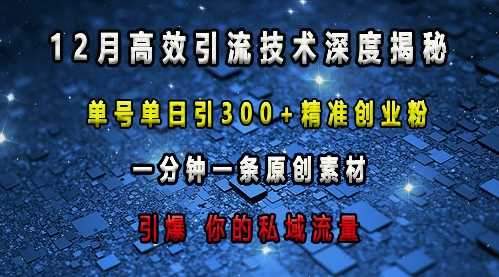 最新高效引流技术深度揭秘 ，单号单日引300+精准创业粉，一分钟一条原创素材，引爆你的私域流量-大米资源网