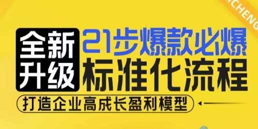 21步爆款必爆标准化流程，全新升级，打造企业高成长盈利模型-大米资源网