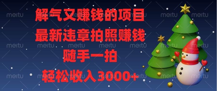 （13686期）解气又赚钱的项目，最新违章拍照赚钱，随手一拍，轻松收入3000+-大米资源网