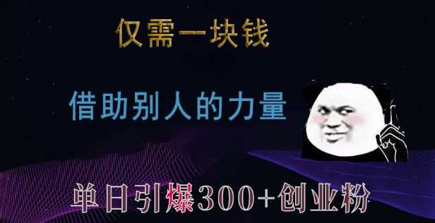 仅需一块钱，借助别人的力量，单日引爆300+创业粉、兼职粉【揭秘】-大米资源网