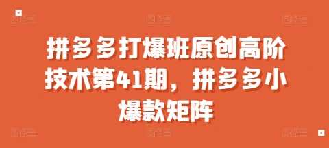 拼多多打爆班原创高阶技术第41期，拼多多小爆款矩阵-大米资源网