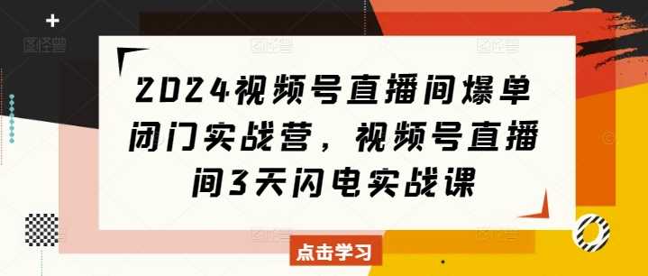 2024视频号直播间爆单闭门实战营，视频号直播间3天闪电实战课-大米资源网