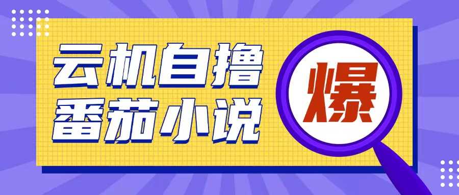 首发云手机自撸小说玩法，10块钱成本可撸200+收益操作简单【揭秘】-大米资源网