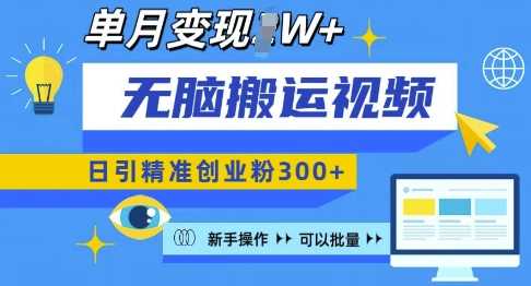 无脑搬运视频号可批量复制，新手即可操作，日引精准创业粉300+，月变现过W 【揭秘】-大米资源网