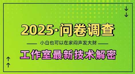 2025问卷调查最新工作室技术解密：一个人在家也可以闷声发大财，小白一天2张，可矩阵放大【揭秘】-大米资源网