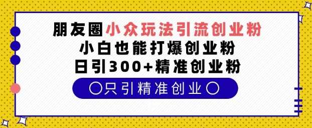 朋友圈小众玩法引流创业粉，小白也能打爆创业粉，日引300+精准创业粉【揭秘】-大米资源网