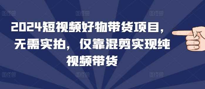 2024短视频好物带货项目，无需实拍，仅靠混剪实现纯视频带货-大米资源网